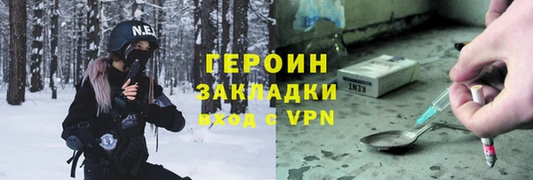 прущие грибы Абаза