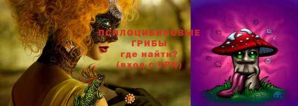 прущие грибы Абаза