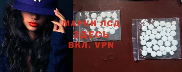 прущие грибы Абаза