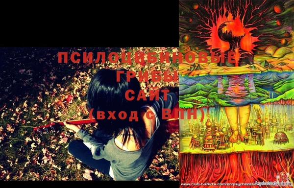 молекула духа Абинск