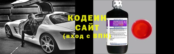 прущие грибы Абаза