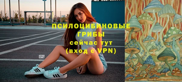 прущие грибы Абаза