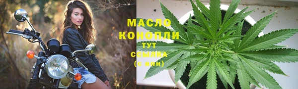 прущие грибы Абаза