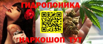 дмт Нальчик