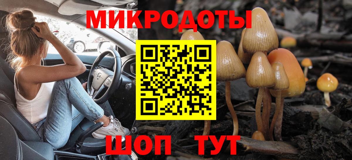Ярославль  купить   Вход с VPN  Галлюциногенные грибы мухоморы  Псилоцибиновые грибы Cubensis 